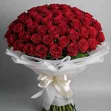 Букет 101 Красная роза Блэк Мэджик в Черепеть