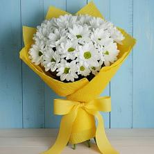 Букет цветов из:  Хризантемы в Черепеть