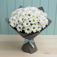 Букет цветов из:  Хризантемы #REPLACE_PRED# Черепеть