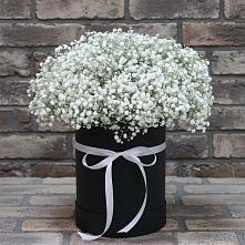 Цветочная композиция из Гипсофила в шляпной коробке в Черепеть