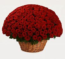 Премиум букет из: Розы в Черепеть